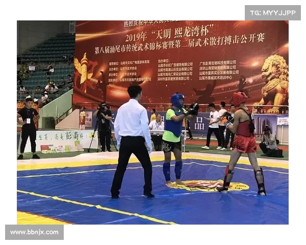 武术安全条例修订 高坠保护装置成赛事标配确保运动员安全新规范 武术安全条例修订 高坠保护装置成赛事标配确保运动员安全新规范